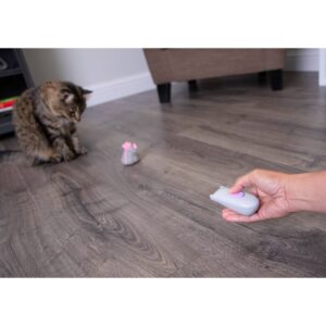 SmartyKat Racin Rascal Mouse and Remote Control with Laser Cat Toy
