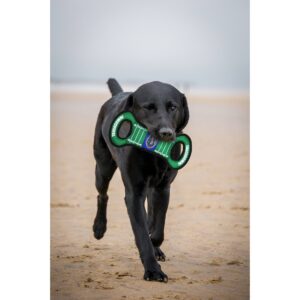 NCAA Florida Gators Field Dog Toy