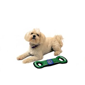 NCAA Florida Gators Field Dog Toy