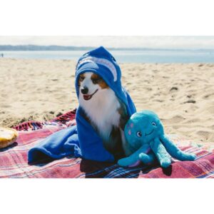ZippyPaws Grunterz Oscar the Octopus Dog Toy