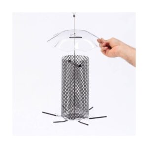 Birds Choice 3qt Safflower Forever Feeder - Clear