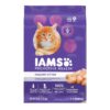 Iams Proactive Health Healthy Kitten Dry Cat Food - 16lbs