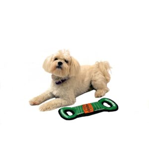 NCAA Oklahoma State Cowboys Football Field Dog Toy