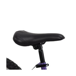Huffy Women's Highland 24" Mountain Bike - Purple