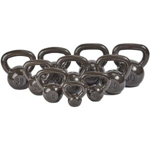 Everyday Essentials 10 Pound Full Body Fitness Exercise Strength Training Free Weight Kettlebell Weight Equipment for Home and Gym Workouts