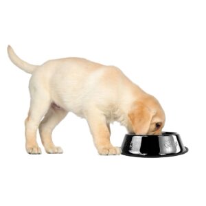 Platinum Pets Embossed Non-Tip Cat/Dog Bowl - Midnight Black - .75 Cup