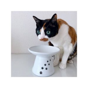 Necoichi Raised Cat Food Bowl - Extra Wide