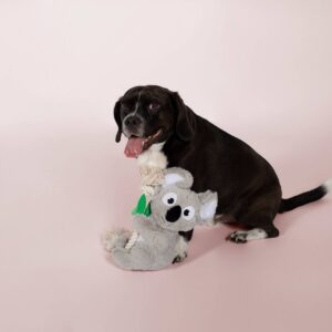 PetShop by Fringe Studio Koala Dog Toy