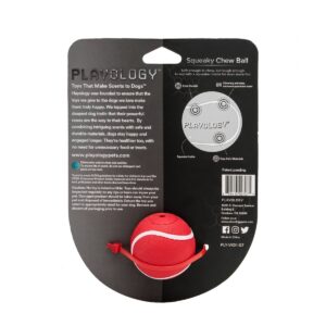 Playology Squeaky Chew Ball Beef Scent Dog Toy - Red - S