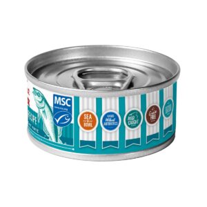 Tender & True Ocean Whitefish and Potato Recipe Wet Cat Food - 24ct