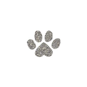Dr. Elsey's Cat Attract Litter - 20lbs