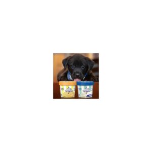 Pooch Creamery Dual Pack Peanut Butter and Vanilla Dog Treats - 2.32oz