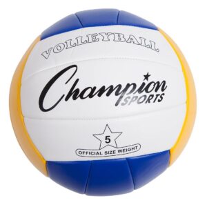 Champion Deluxe Volleyball and Badminton Tournament Set