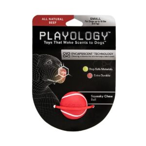 Playology Squeaky Chew Ball Beef Scent Dog Toy - Red - S