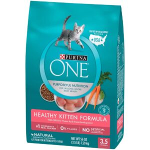 Purina ONE Healthy Kitten Formula Premium Dry Cat Food - 3.5lbs