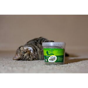 Multipet Garden Cat Catnip Cat Treats - 2.5oz