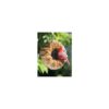 Songbird Tweets® Sunflower Wreath - Gardener's Supply Company