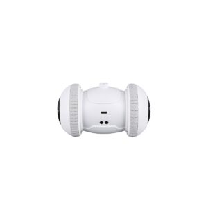 Pet Genius Smart Play Rover Cat Toy - White