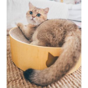 Necoichi Cozy Cat Scratcher Bowl