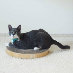Necoichi Cozy Cat Scratcher Bowl Refills - 2pk
