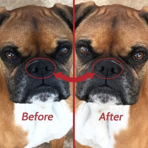 Pawstruck Ruff Relief Organic Nose & Paw Balm for Dogs | Natural, Made in USA Dry Cracked Skin Soother | Snout & Foot Pad Moisturizer - 1 Tin(s)