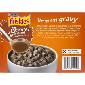 Purina Friskies Gravy Sensations Wet Cat Food Poultry Pouches with Chicken, Turkey & Beef - 3oz/12ct Variety Pack