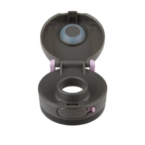 Contigo 20oz Autopop Stainless Steel - Lavender