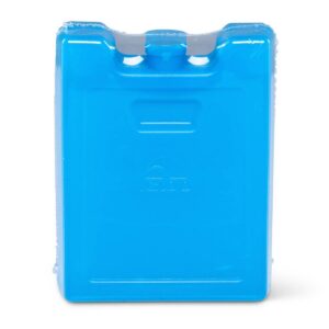 Igloo Refreezable Ice Pack Small - 2pk