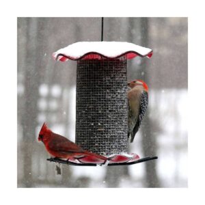 Birds Choice 3qt Forever Black Oil Sunflower Bird Feeder - Red