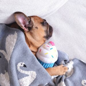 ZippyPaws Cupcake Dog Toy - Blue