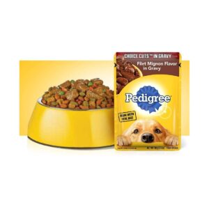 Pedigree Choice Cuts In Gravy Filet Mignon Flavor Wet Dog Food - 3.5oz