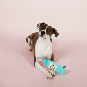 PetShop by Fringe Studio Ruff Day Chardonnay Dog Toy