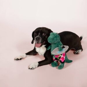 PetShop by Fringe Studio Surfer Bro Rex Dog Toy