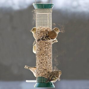 Droll Yankees New Generation 13" Peanut Feeder - Green
