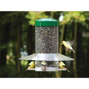 Birds Choice 12" Classic Hanging Tube Feeder