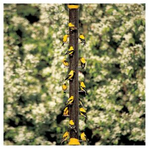 Droll Yankees New Generation 36" Finch Flocker Feeder