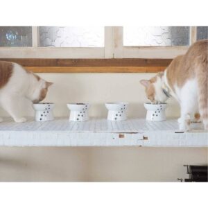 Necoichi Raised Cat Food Bowl