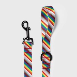 Pride Fashion Dog Leash - 5ft - Boots & Barkley™