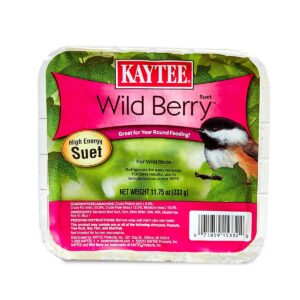 KAYTEE Wild Berry Suet Bird and Wildlife Food - 11.75oz
