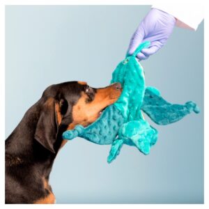 BARK Cute Dog Toy - Dingbert the Dragon