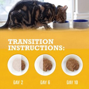 Purina Beyond Grain Free Paté Whitefish, Chicken & Salmon Premium Wet Cat Food - 3oz/6ct Variety Pack