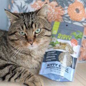 Quirky Kitty Kitty Chill North American Catnip with Chamomile Blend Cat Treats - 0.5oz