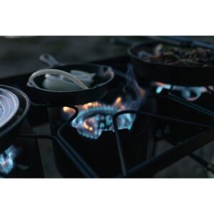 Stansport Outdoor Triple Burner Stove With Stand