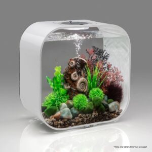 biOrb Ancient Conch Ornament Aquarium Sculptures - Brown