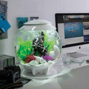 biOrb Sea Star Rock Ornament Aquarium Sculptures - Gray