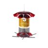 Birds Choice 3qt Safflower Forever Bird Feeder - Red