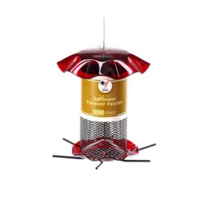 Birds Choice 3qt Safflower Forever Bird Feeder - Red