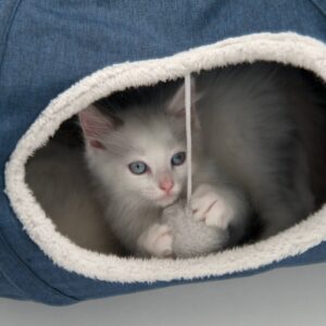 Catit Vesper Tunnel Cat Toy - Blue