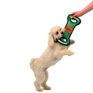 NCAA Oklahoma State Cowboys Football Field Dog Toy