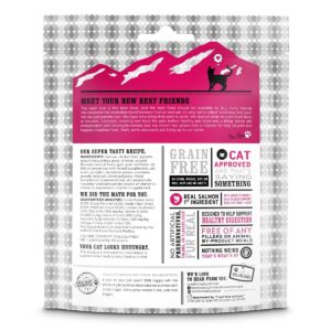 I and Love and You Hair Meowt Hearties Grain Free Salmon Recipe Cat Treats - 4oz